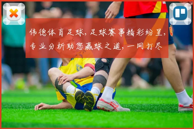 伟德体育足球,足球赛事精彩纷呈,专业分析助您赢球之道,一网打尽