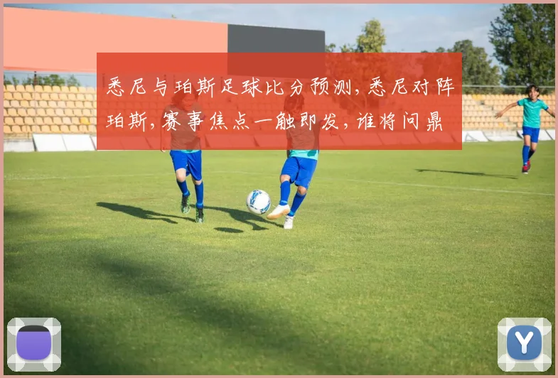 悉尼与珀斯足球比分预测,悉尼对阵珀斯,赛事焦点一触即发,谁将问鼎巅峰