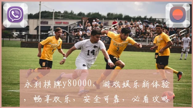 永利棋牌y80000，游戏娱乐新体验，畅享欢乐，安全可靠，必看攻略