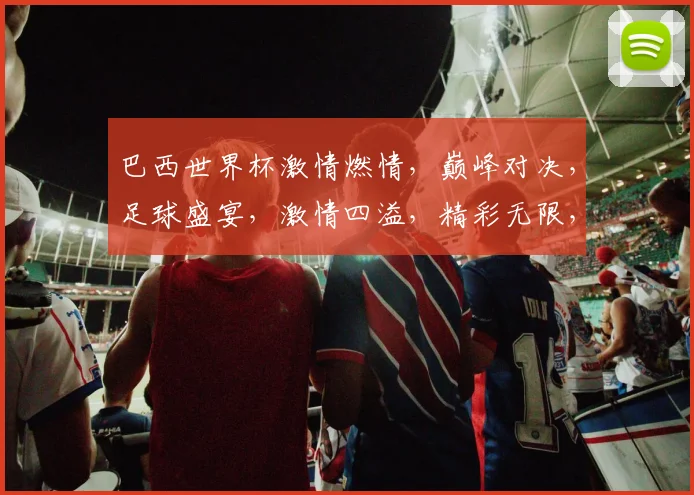 巴西世界杯激情燃情，巅峰对决，足球盛宴，激情四溢，精彩无限，两强争霸，谁主沉浮