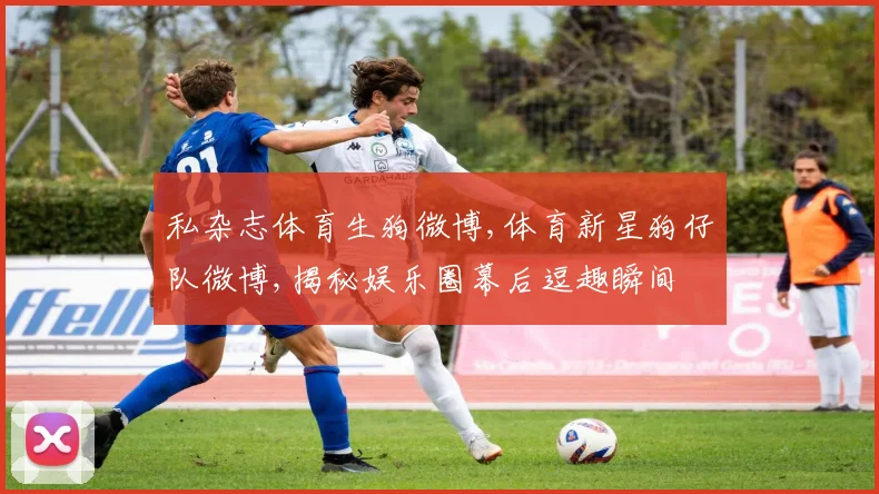 私杂志体育生狗微博,体育新星狗仔队微博,揭秘娱乐圈幕后逗趣瞬间